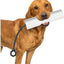 Juguete parachoques perro cuerda ajustable simulador agua