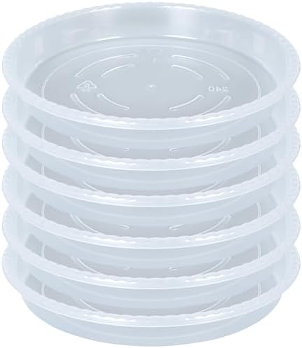 6 Pzas Platillo Plástico Transparente 10pulg para Maceta Interior