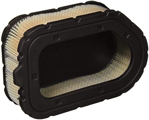 Filtro aire motor WA10025 comp Kohler
