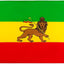 Bandera Etiopía León 3x5ft Bandera León Judá