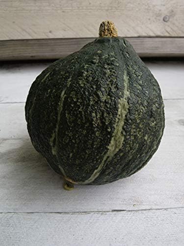 Semillas calabaza Hubbard verde
