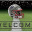 Tapete goma puerta exterior 18x30" New England Patriots