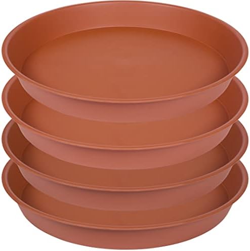 4 Platillos 10" para Plantas Baño Pájaros
