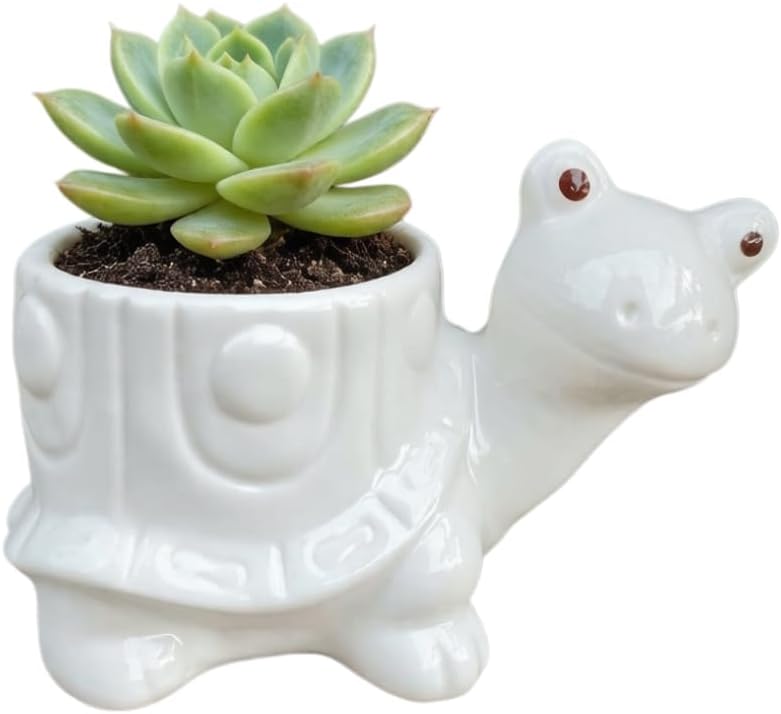 Maceta cerámica tortuga drenaje cactus decoración hogar blanco