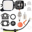 Filtro aire PB2520 con kit para soplador Echo