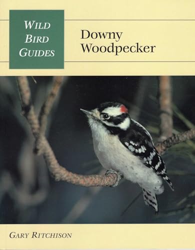 Guía aves Downy Woodpecker