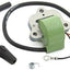 Kit bobina encendido marino BRP OMC Evinrude 50-135 HP