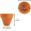 Macetas terracota 1.2pulg con drenaje para cactus interiores