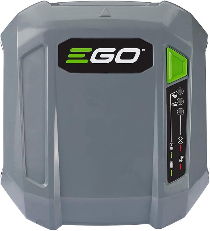 Cargador EGO serie CHX5500 550W