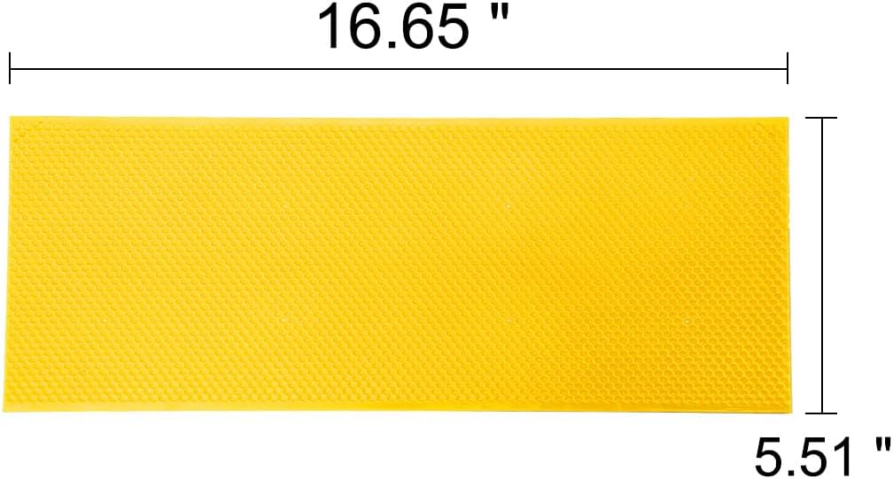 Hoja base colmena con cera 10 Uds 5-5/8"