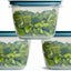 Set 3 Recipientes Flex & Seal Transparentes 7 Tazas