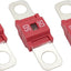 Pack 3 fusibles AMI/Midi 50A alta corriente para autos y camiones