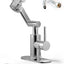 Grifo baño giratorio acero inox ajustable 2 modos pulverización