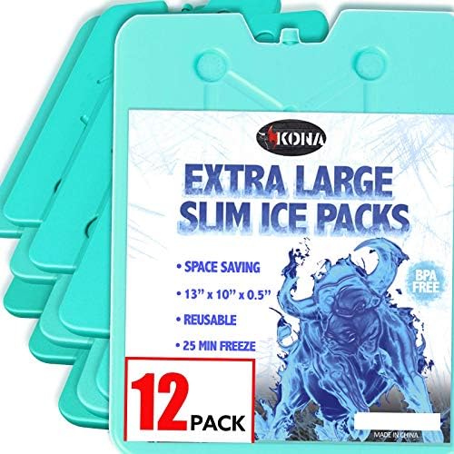 12 Pzas Hielo XL 13x10pulg Congelables Reutilizables
