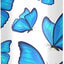 Botella agua acero inox sin BPA con pajilla mariposas azules