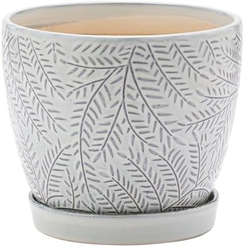 Maceta decorativa 5x6pulg con platillo y helecho gris