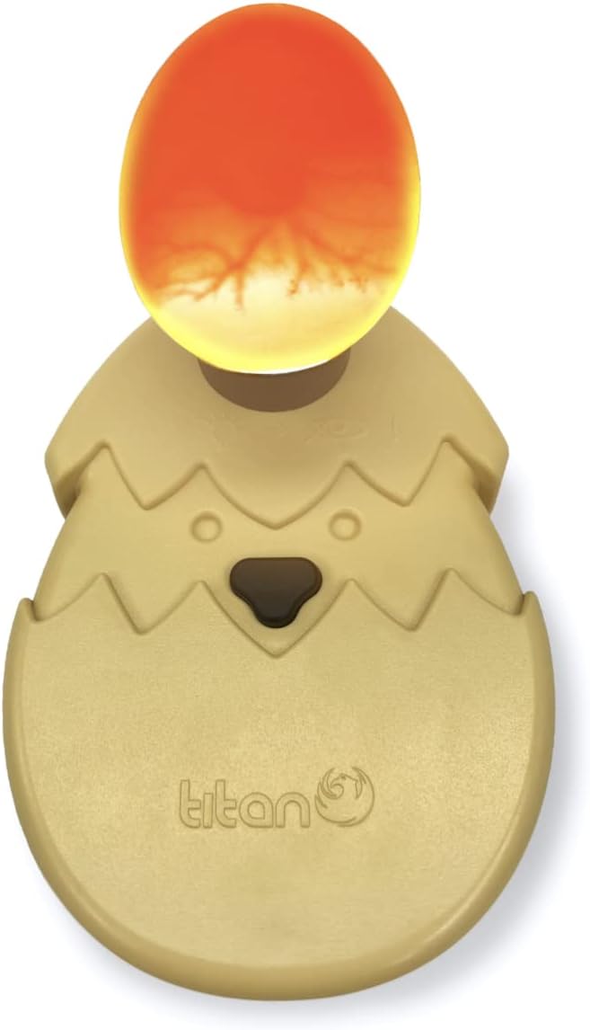 Incubadora vela huevo pollo ultrabrillante con pilas