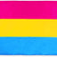 Bandera pansexual 3x5ft orgullo pansexualidad