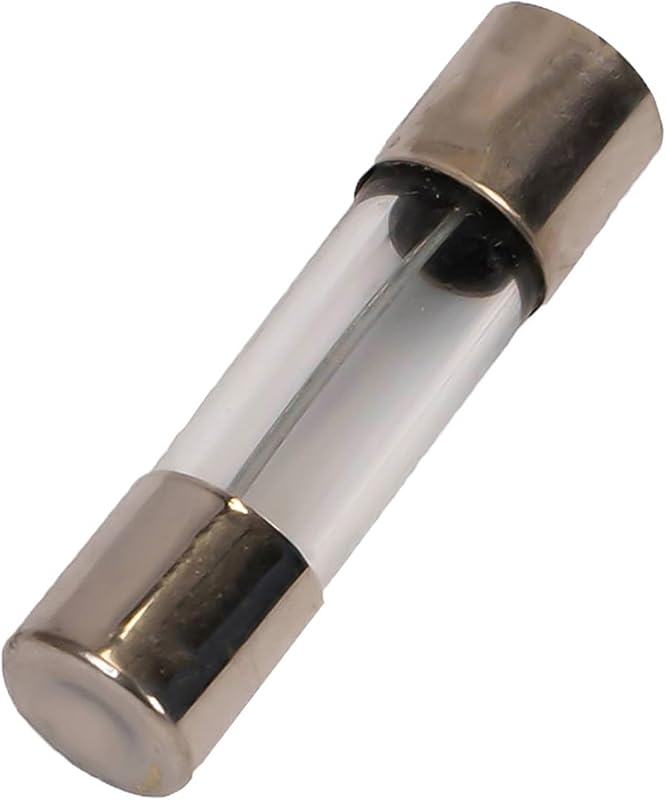 Fusibles vidrio con retardo 10 pzas 250V T6.3AL250V