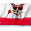 Bandera perro 3x5ft gafas sol San Valentín doble cara