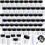 60 Botellas Pintura Retoque con Cepillo 2oz y 1oz Plástico