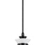 Laria Colgante 1 Luz Cristal Opalo Negro 19x16pulg