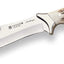 Cuchillo caza CC01 antílope hoja curvada 7.67pulg acero inox