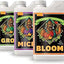 Pack 3 Botellas 1L Bloom Micro Grow