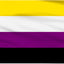 Bandera no binaria 2uds 3x5ft doble cara latón