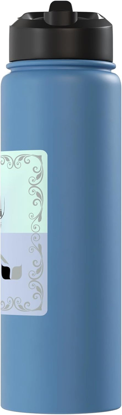 Botella de agua aislada de acero inoxidable para gatos