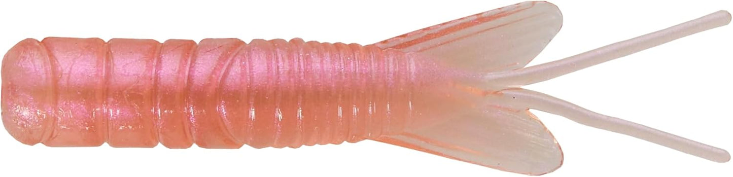 Insecto para Captura de Larvas en Pan y Candy
