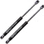 2 Soportes elevación portón Ford Fiesta Hatchback 4 puertas