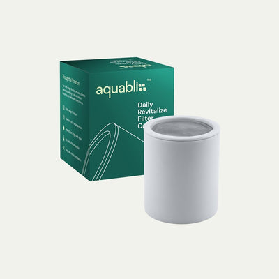 Filtro ducha revitalizante con 2 cartuchos SFC100