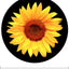 Portavasos Girasol 2.75pulg Silicona Universal para Auto