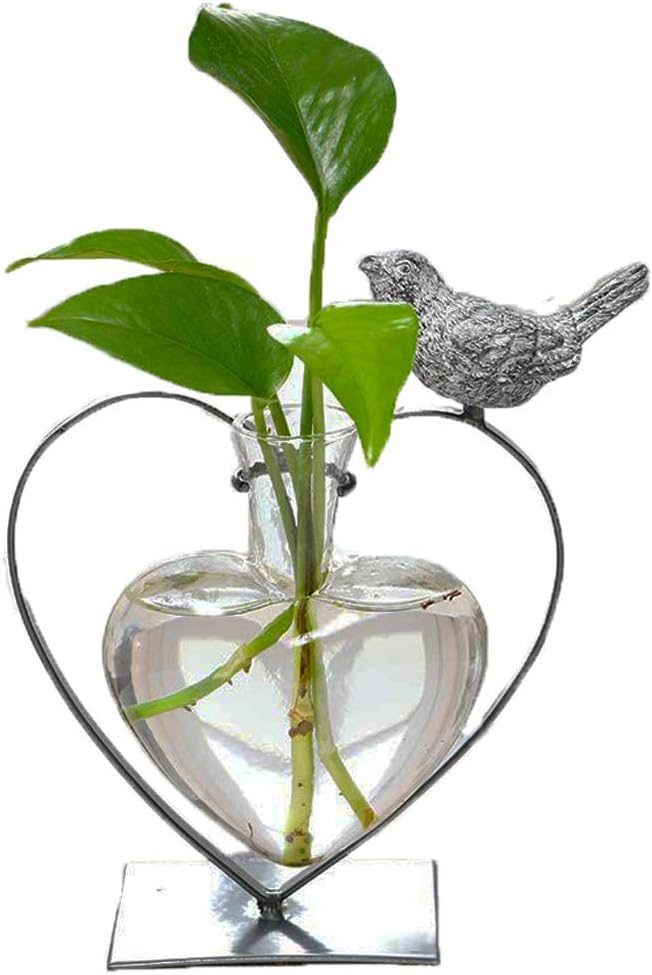 Jarrón cristal escritorio forma bombilla soporte terrario metal