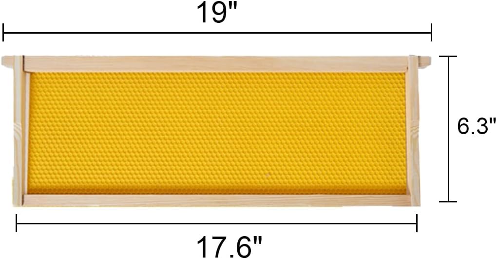 Pack 10 Marcos Colmena Madera Bases Cera 6-1/4pulg Amarillo