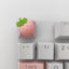 Teclas personalizadas rosa para teclado mecánico MX Switch