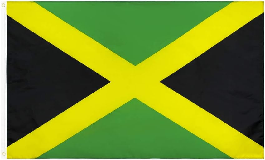 Bandera países mundo 3x5ft