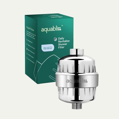 Filtro ducha revitalizante con 2 cartuchos SFC100