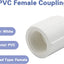 Conector roscado hembra a hembra 3/4pulg 10uds