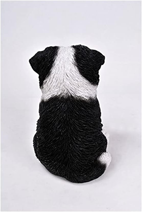 Regalo Border Collie Puppy 675