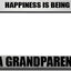 Soporte placa matrícula Happiness is Being A Grandparent