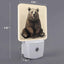 Luz Nocturna Oso Negro Sensor Luz Dormitorio Baño