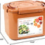 Contenedor fermentación probióticos con tapa vacío 12L