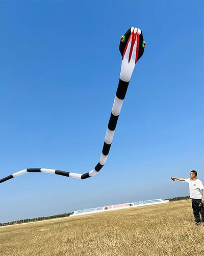 Cometa inflable serpiente 3D 180ft para adultos al aire