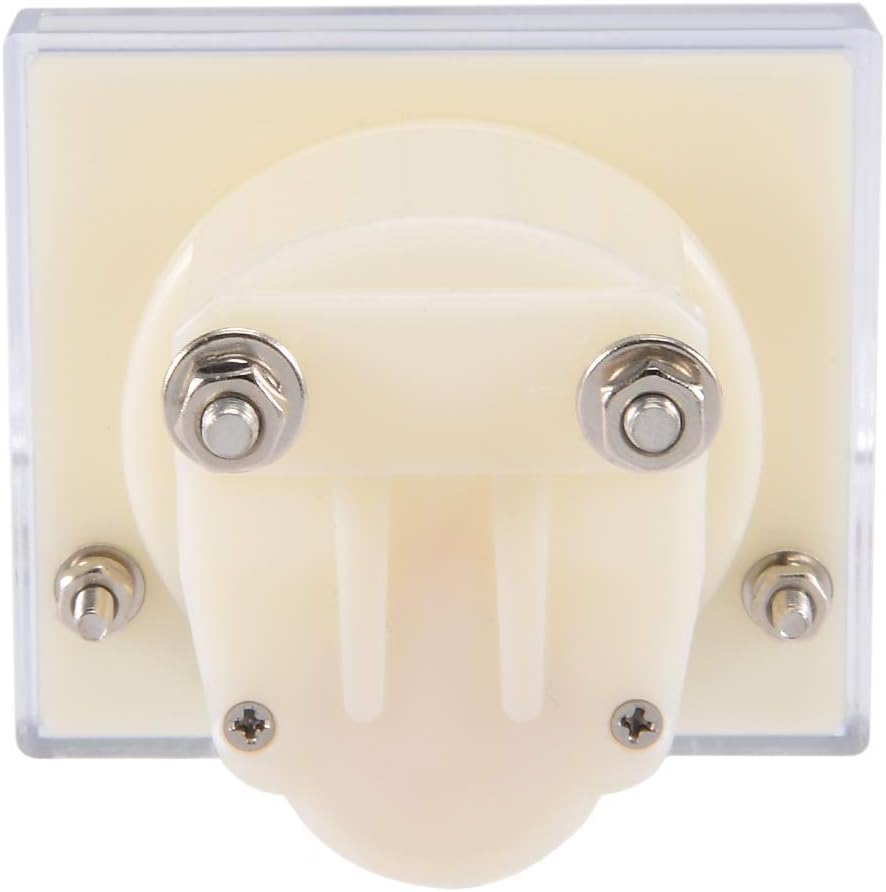 Amperímetro analógico DC 0-10A 85C1 2.5 precisión