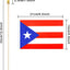 Mini banderas mano Puerto Rico poste madera 12 pzas