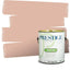 Pintura e imprimación en uno 1gal VS27