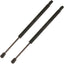 2 Soportes elevación capó comp Lincoln Town Car 03-05