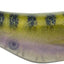 Señuelo Topwater Stutterstep 4.0 5/8oz para pesca agua dulce